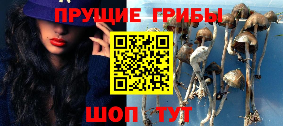 Псилоцибиновые грибы GOLDEN TEACHER  Вход с VPN  Галлюциногенные грибы прущие грибы  Энгельс 
